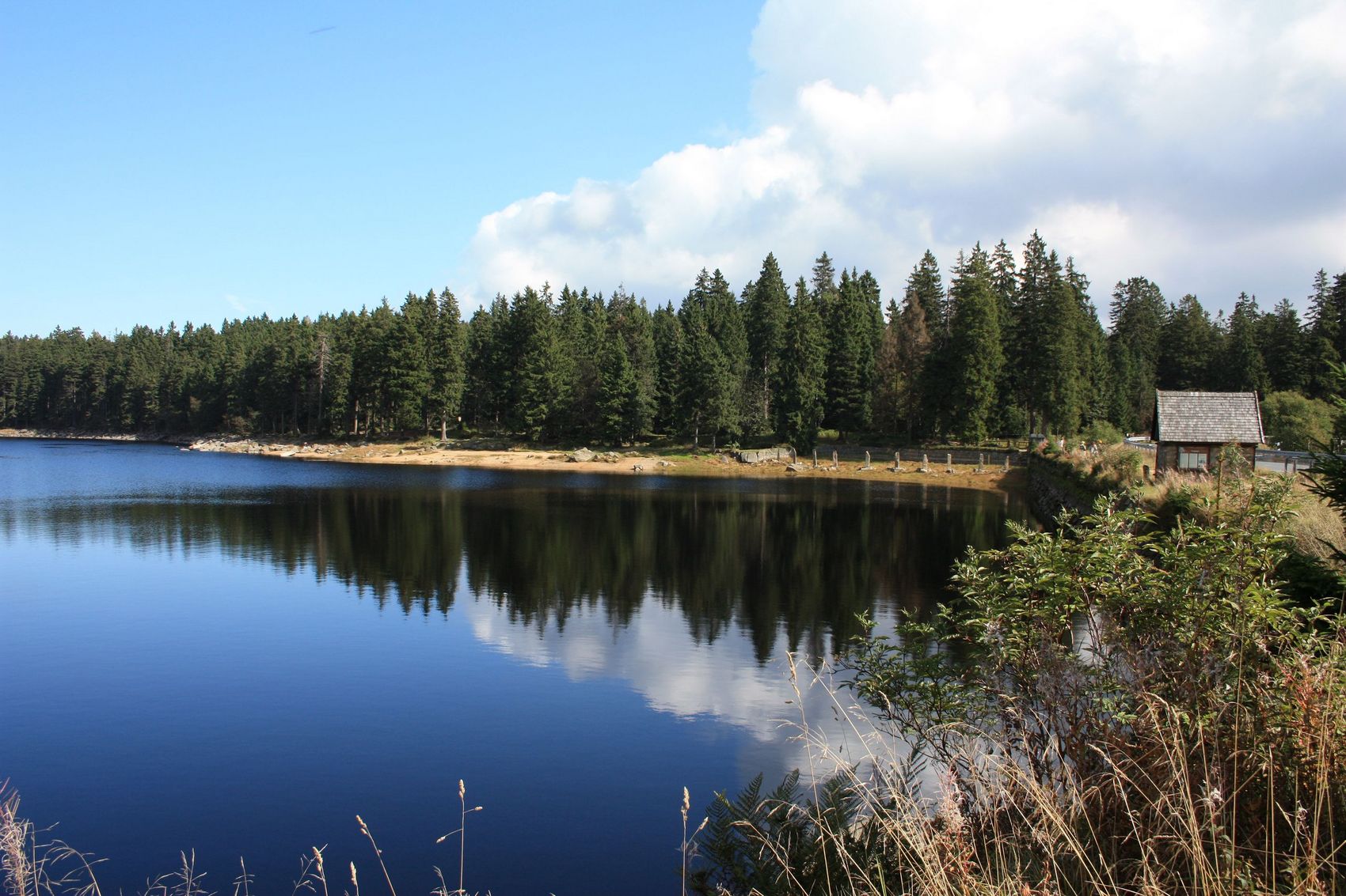 Der Oderteich Der Oderteich mit Blick auf die Ausflut und Granitstelen fotografiert. Um den Teich sind grüne Fichten zu sehen. Rechts verläuft die Bundesstraße.
