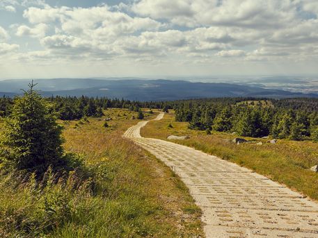 Harzer Grenzweg Kolonnenweg durch die Harzer Natur